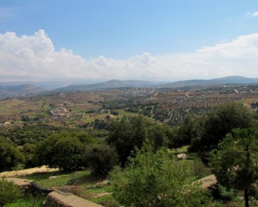 mountain breeze view